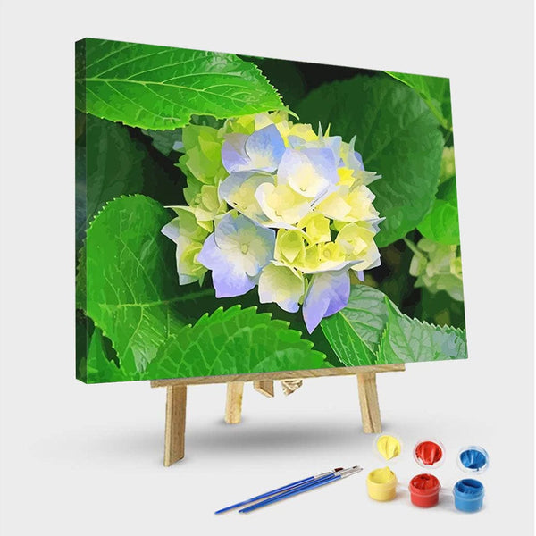 paintingnumberart 16"x20"/40x50cm / Without frame Beautiful Hydrangeas – NEW Paint By Numbers