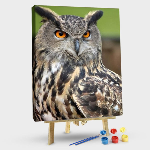 paintingnumberart 16"x20"/40x50cm / Without frame Big Eyes Owl – Birds Paint By Numbers