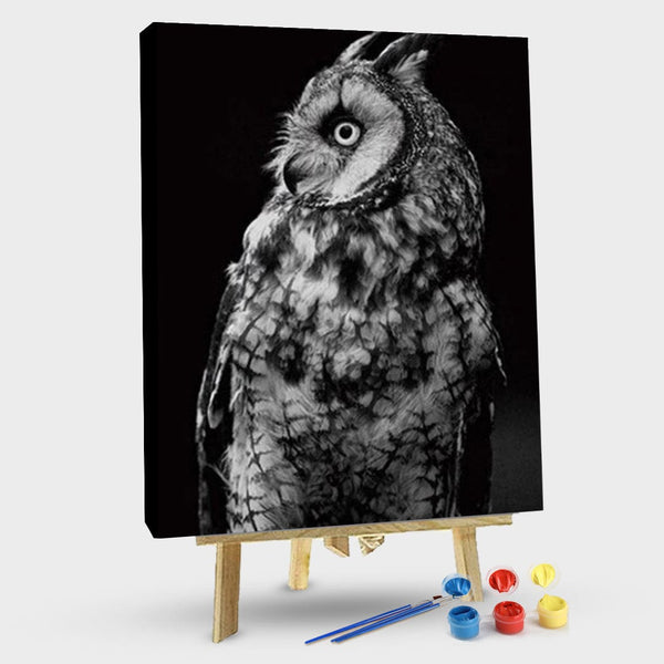 paintingnumberart 16"x20"/40x50cm / Without frame Black and White Owl – Birds Paint By Number