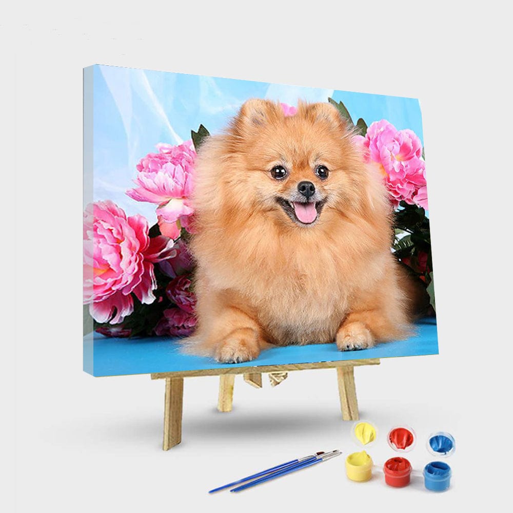 paintingnumberart 16"x20"/40x50cm / Without frame Brown Dog Pomeranian – Animals Paint By Number