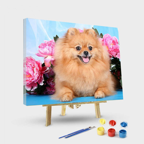 paintingnumberart 16"x20"/40x50cm / Without frame Brown Dog Pomeranian – Animals Paint By Number