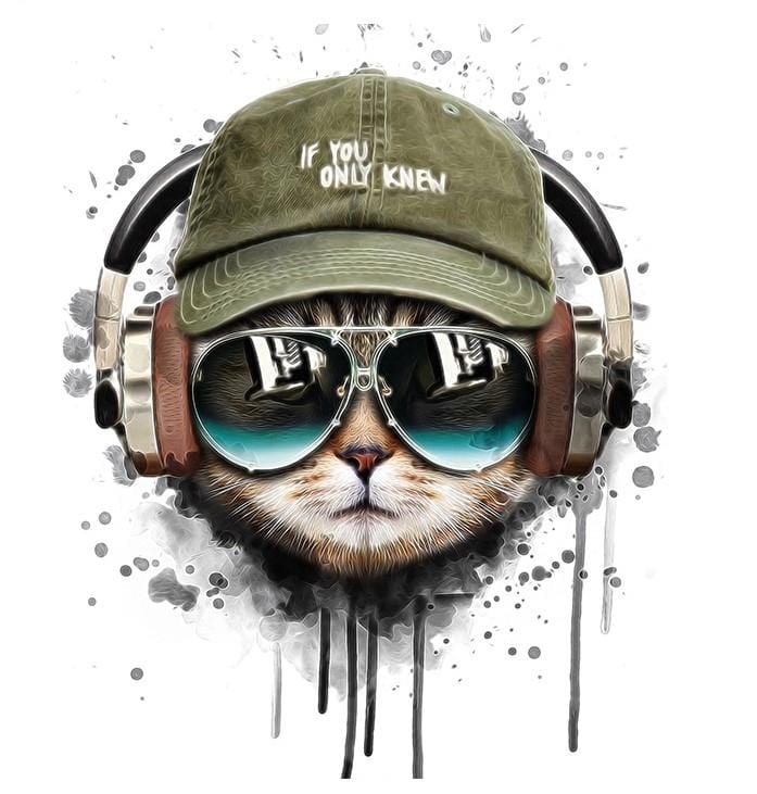 paintingnumberart 16"x20"/40x50cm / Without frame Cat Listening To Music – Animals Paint By Number