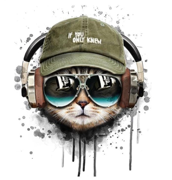 paintingnumberart 16"x20"/40x50cm / Without frame Cat Listening To Music – Animals Paint By Number