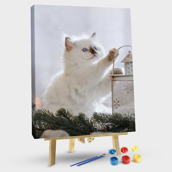paintingnumberart 16"x20"/40x50cm / Without frame Cat Playing-Paint By Numbers Kit
