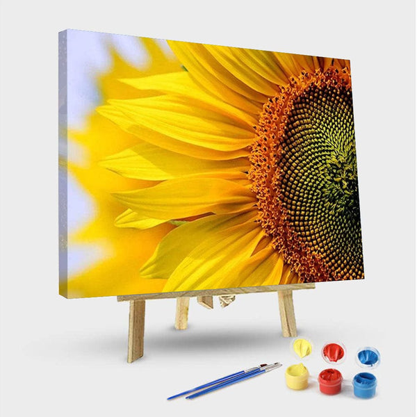 paintingnumberart 16"x20"/40x50cm / Without frame Clear Sunflower – Flowers Paint By Numbers