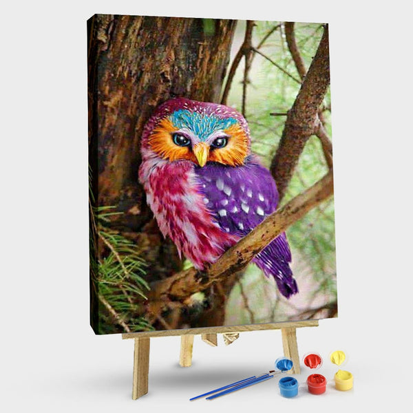 paintingnumberart 16"x20"/40x50cm / Without frame Colorful Beautiful Owl – Birds Paint By Number