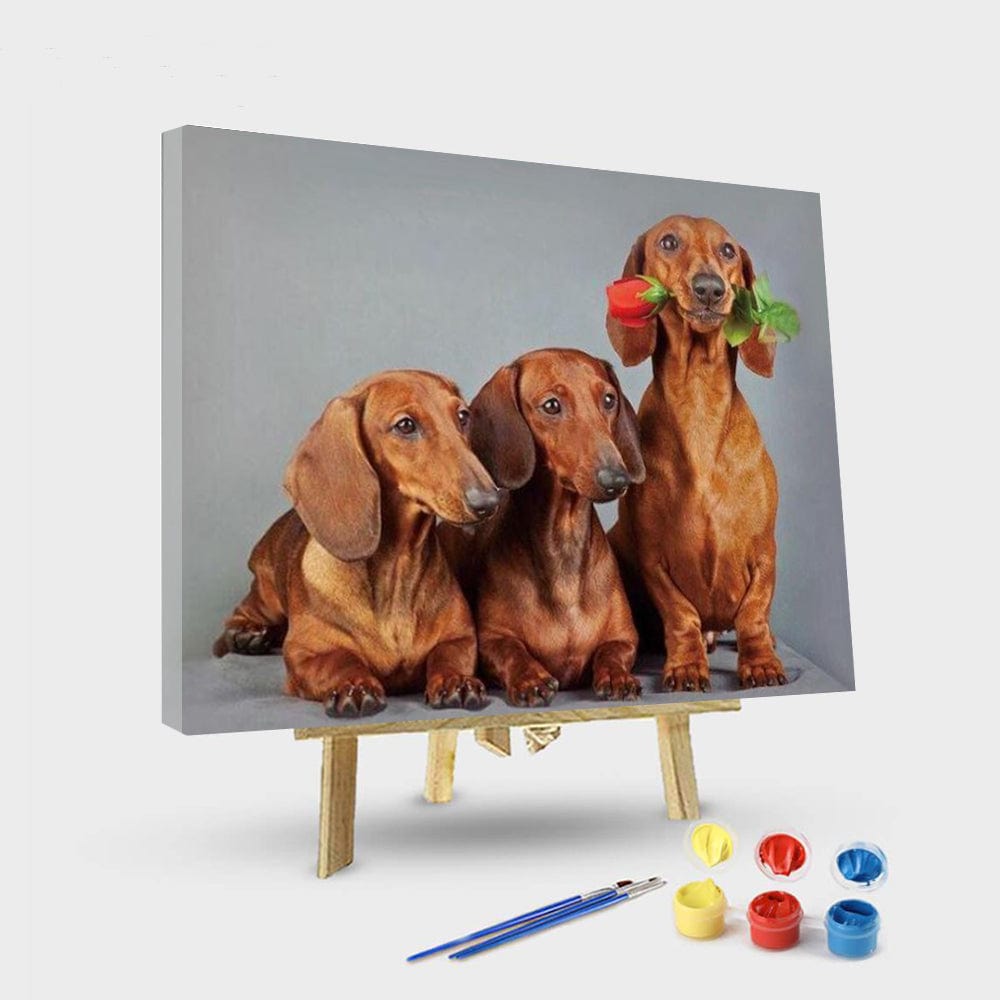 paintingnumberart 16"x20"/40x50cm / Without frame Cute Dachshund Dogs – Animals Paint By Number