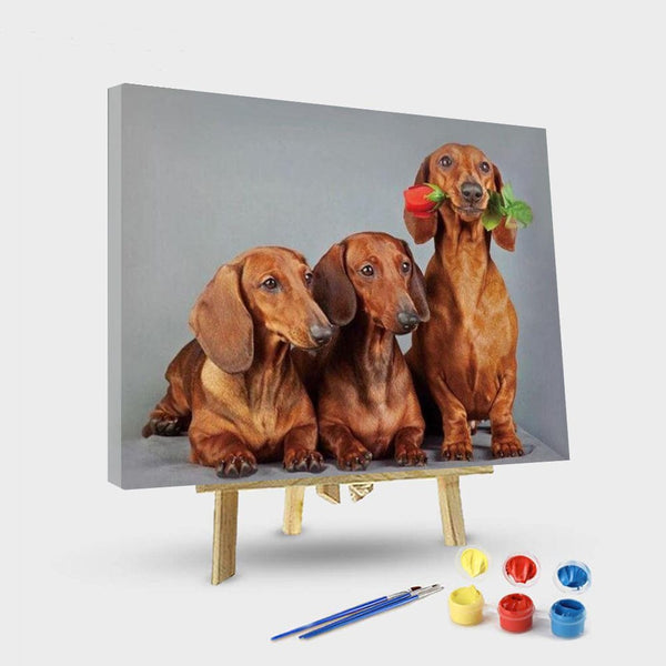 paintingnumberart 16"x20"/40x50cm / Without frame Cute Dachshund Dogs – Animals Paint By Number