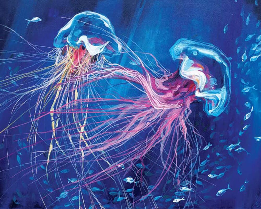 paintingnumberart 16"x20"/40x50cm / Without frame Jellyfish-Paint by Numbers Kit