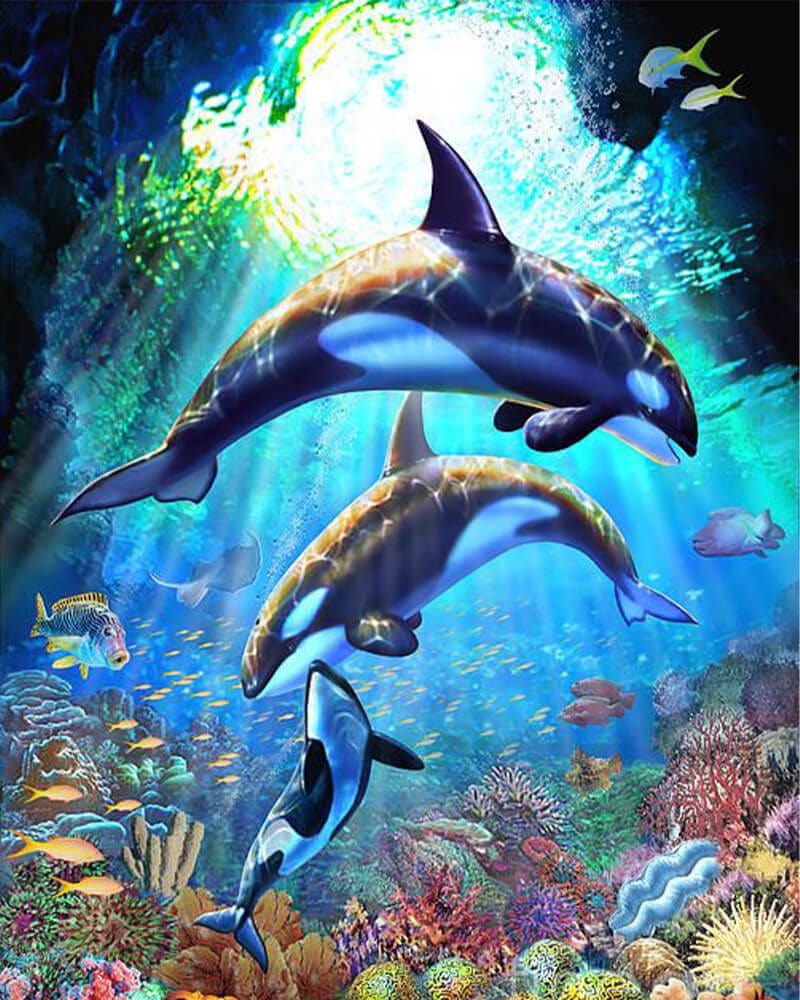 paintingnumberart 16"x20"/40x50cm / Without frame Killer whale-Paint by Numbers Kit