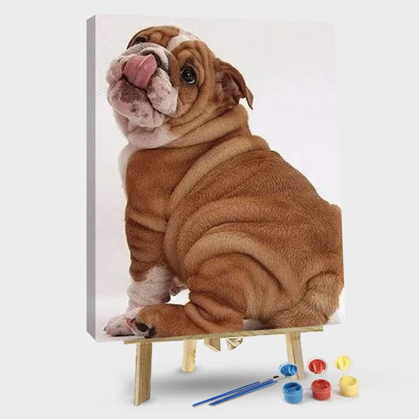 paintingnumberart 16"x20"/40x50cm / Without frame Mini Bulldogs – Animals Paint By Number
