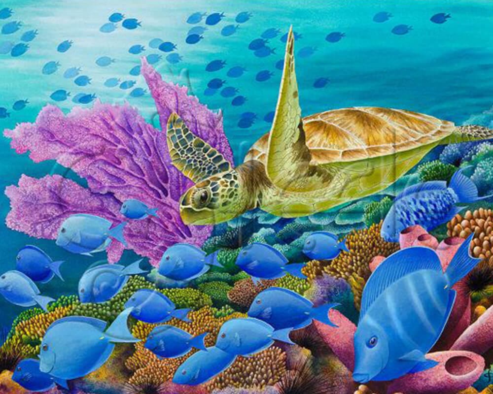paintingnumberart 16"x20"/40x50cm / Without frame Ocean turtle2-Paint by Numbers Kit