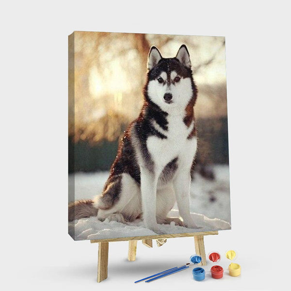 paintingnumberart 16"x20"/40x50cm / Without frame Paint By Numbers Kit – Adorable Husky Dog