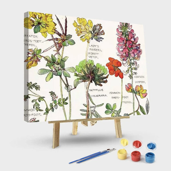 paintingnumberart 16"x20"/40x50cm / Without frame Paint By Numbers Kit – ambrosia 3