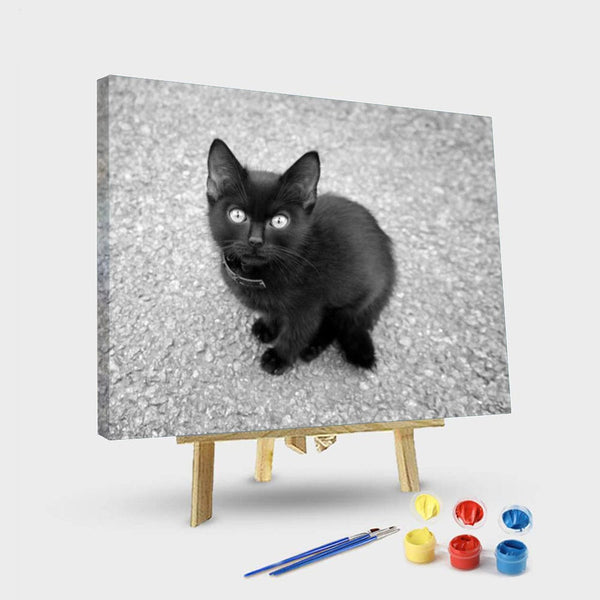 paintingnumberart 16"x20"/40x50cm / Without frame Paint By Numbers Kit – Black And White Kitten