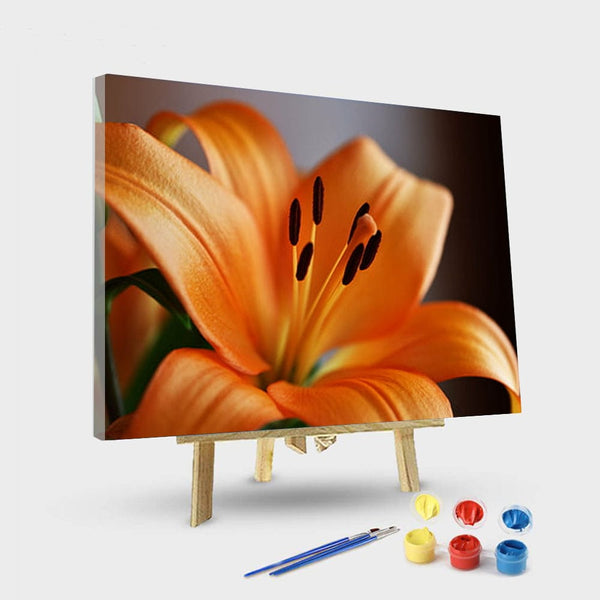 paintingnumberart 16"x20"/40x50cm / Without frame Paint by Numbers Kit –Blooming yellow flower