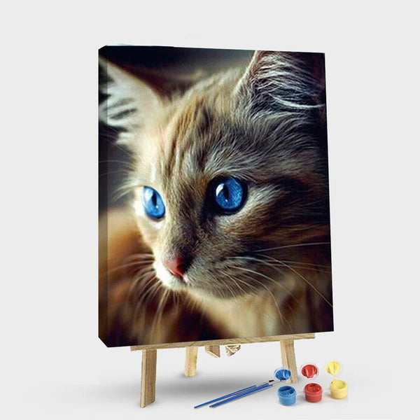 paintingnumberart 16"x20"/40x50cm / Without frame Paint By Numbers Kit – Blue Eyed Cat