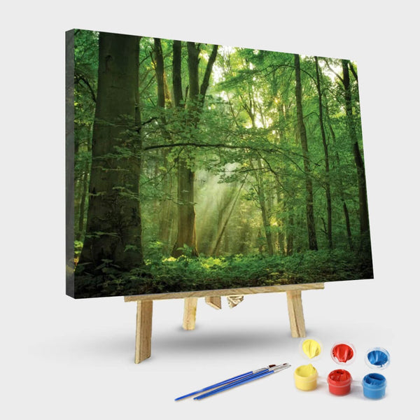 paintingnumberart 16"x20"/40x50cm / Without frame Paint By Numbers Kit-Breathe