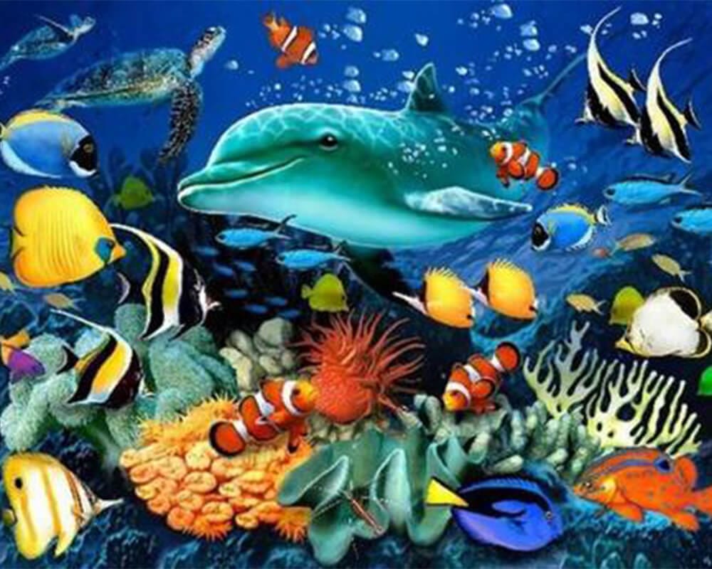 paintingnumberart 16"x20"/40x50cm / Without frame Paint By Numbers Kit-Colorful Dolphin