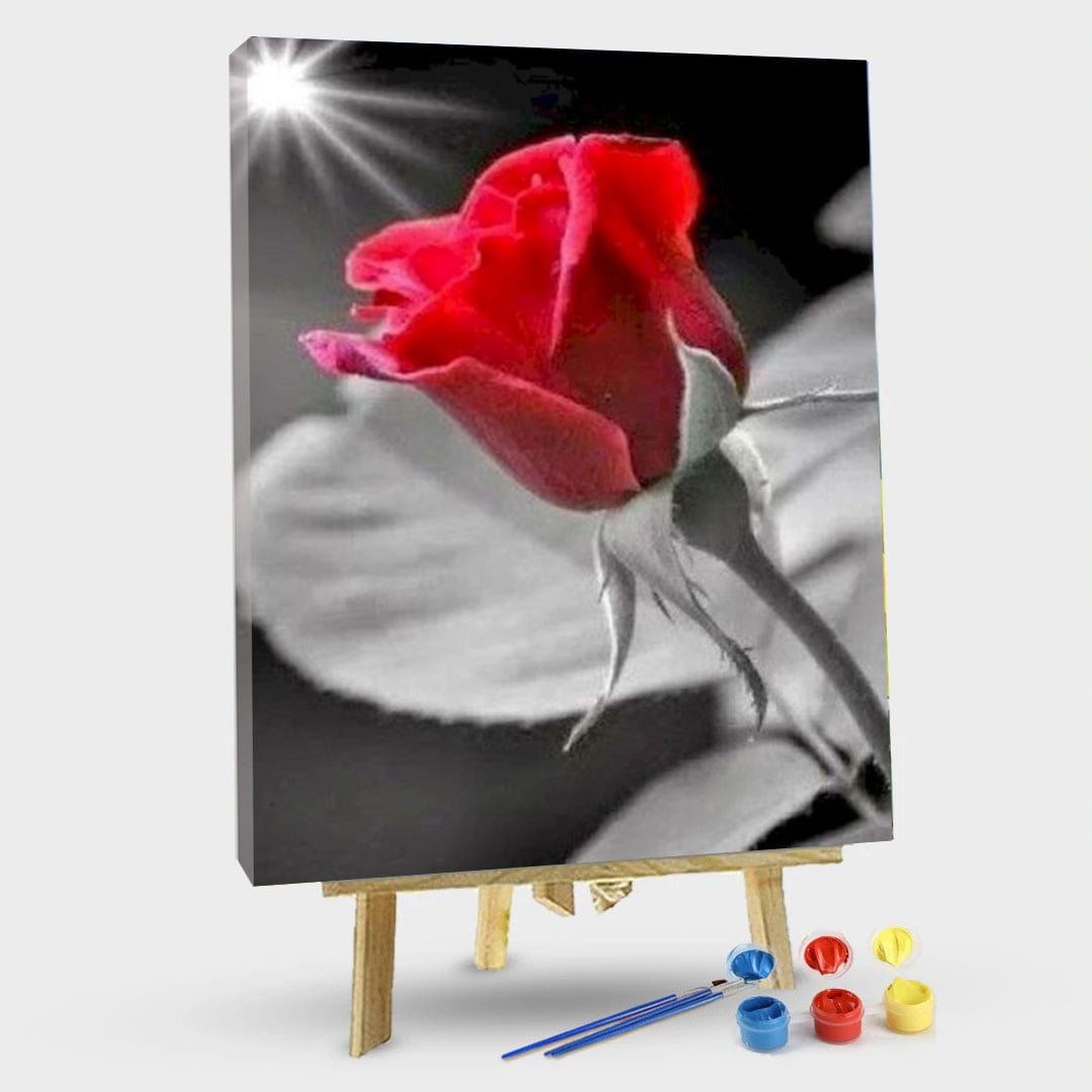 paintingnumberart 16"x20"/40x50cm / Without frame Paint By Numbers Kit – Flowers in the night