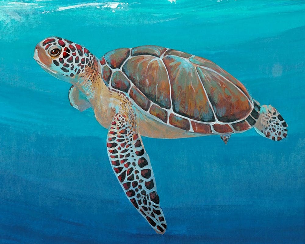 paintingnumberart 16"x20"/40x50cm / Without frame Paint By Numbers Kit-Guardian – Ocean Sea Turtle II