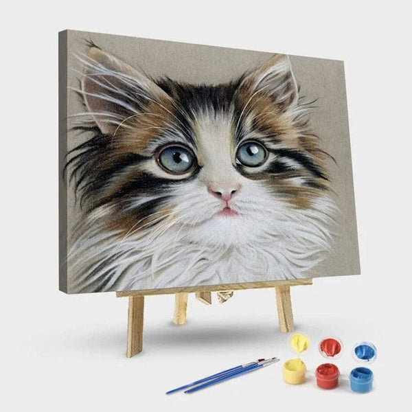 paintingnumberart 16"x20"/40x50cm / Without frame Paint By Numbers Kit – Kitten with Beautiful Eyes