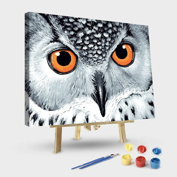 paintingnumberart 16"x20"/40x50cm / Without frame Paint By Numbers Kit-Owl Eyes