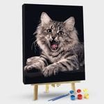 paintingnumberart 16"x20"/40x50cm / Without frame Paint By Numbers Kit – Roaring Maine Coon Cat