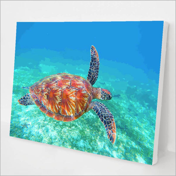 paintingnumberart 16"x20"/40x50cm / Without frame Paint By Numbers Kit –Sea Turtle kit