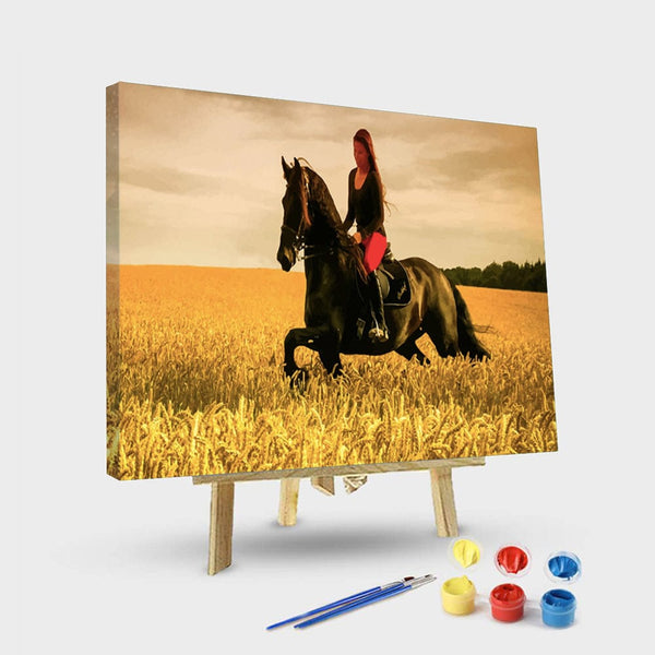 paintingnumberart 16"x20"/40x50cm / Without frame Paint By Numbers Kit – Stallion Horse Woman Cavalier