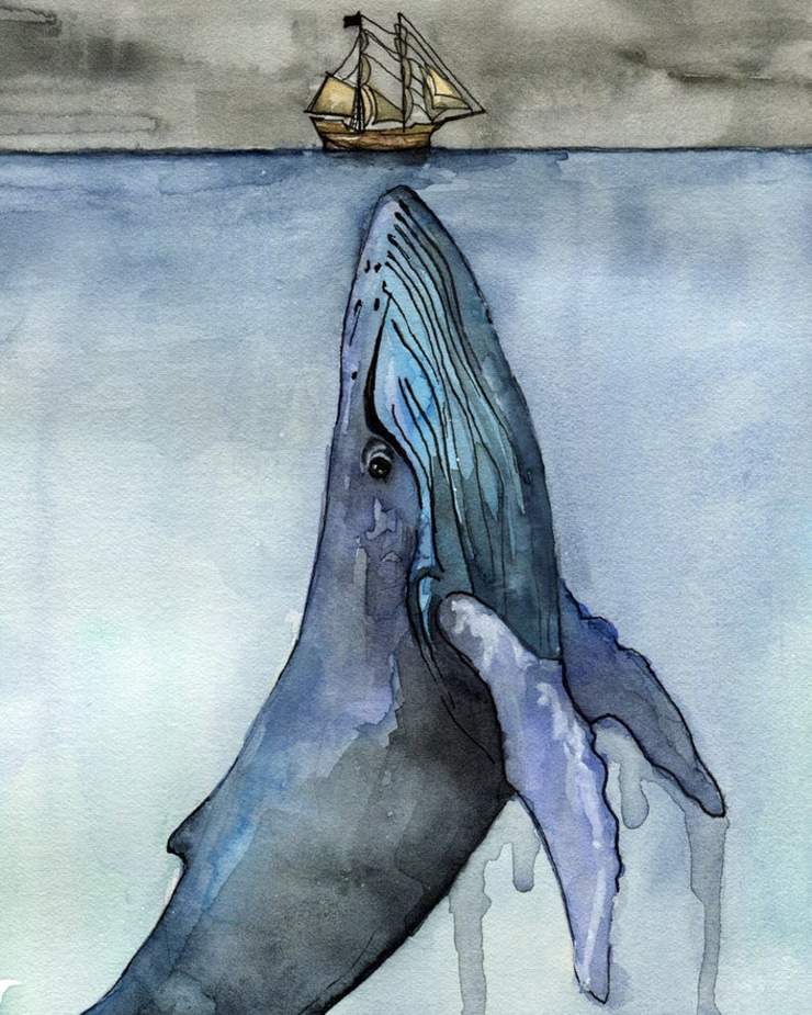 paintingnumberart 16"x20"/40x50cm / Without frame Paint By Numbers Kit – Whale Painting