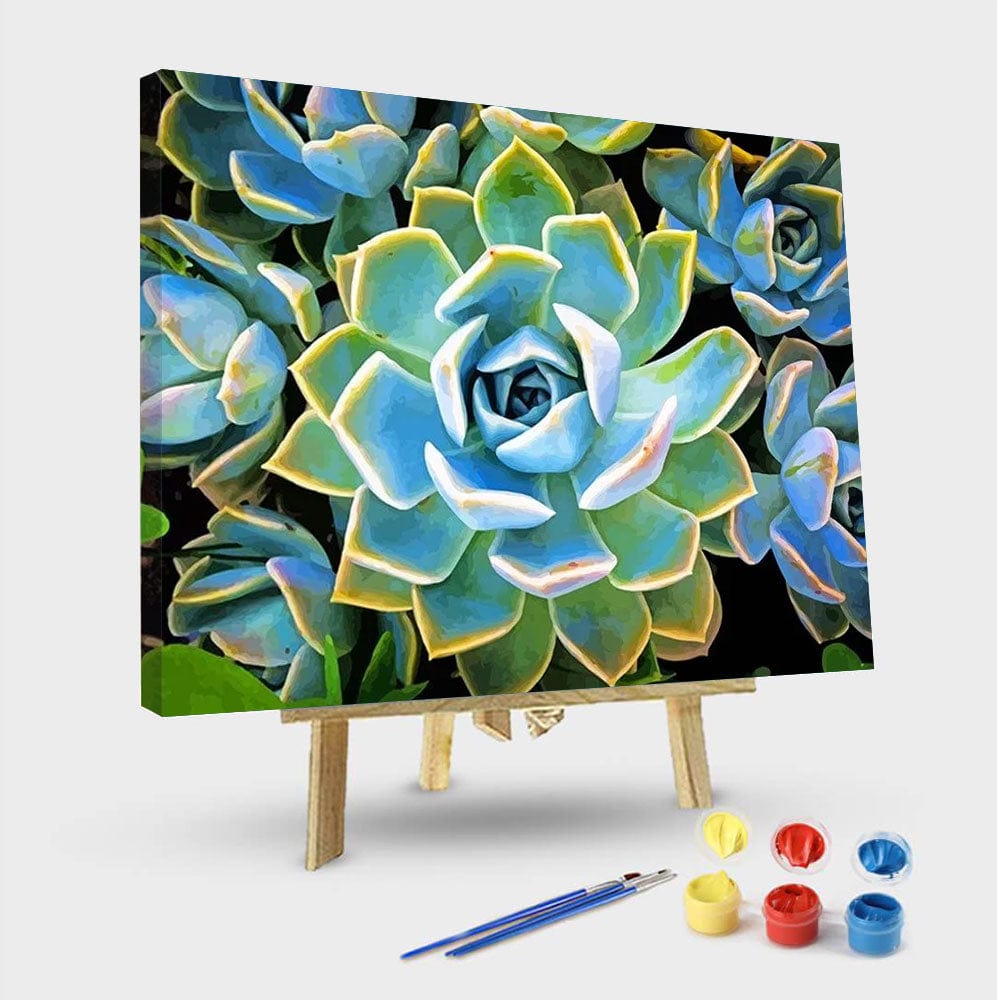 paintingnumberart 16"x20"/40x50cm / Without frame Plante Succulente – NEW Paint By Numbers