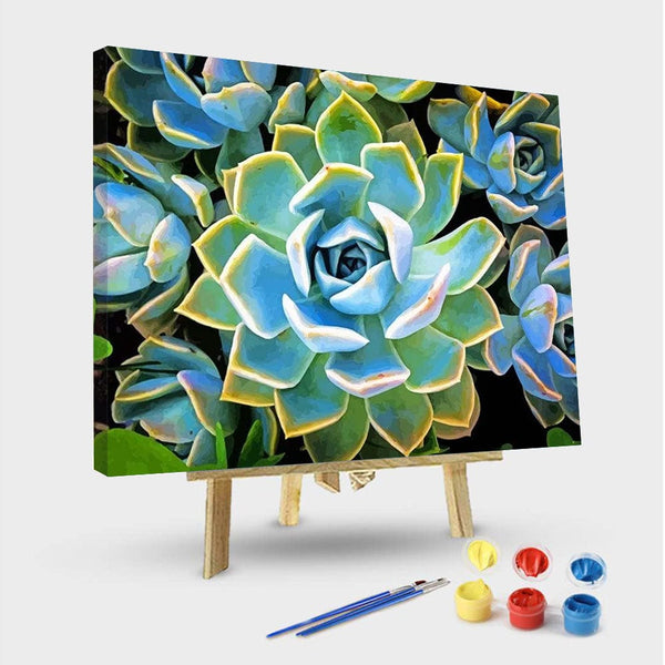 paintingnumberart 16"x20"/40x50cm / Without frame Plante Succulente – NEW Paint By Numbers