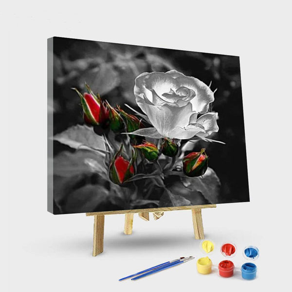 paintingnumberart 16"x20"/40x50cm / Without frame See-through rose – DIY Paint By Numbers Kit