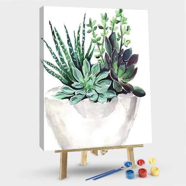 paintingnumberart 16"x20"/40x50cm / Without frame Succulent Pot – Flowers Paint By Numbers