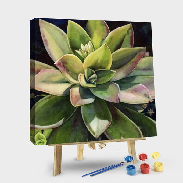 paintingnumberart 16"x20"/40x50cm / Without frame Succulents Plants – Flowers Paint By Number