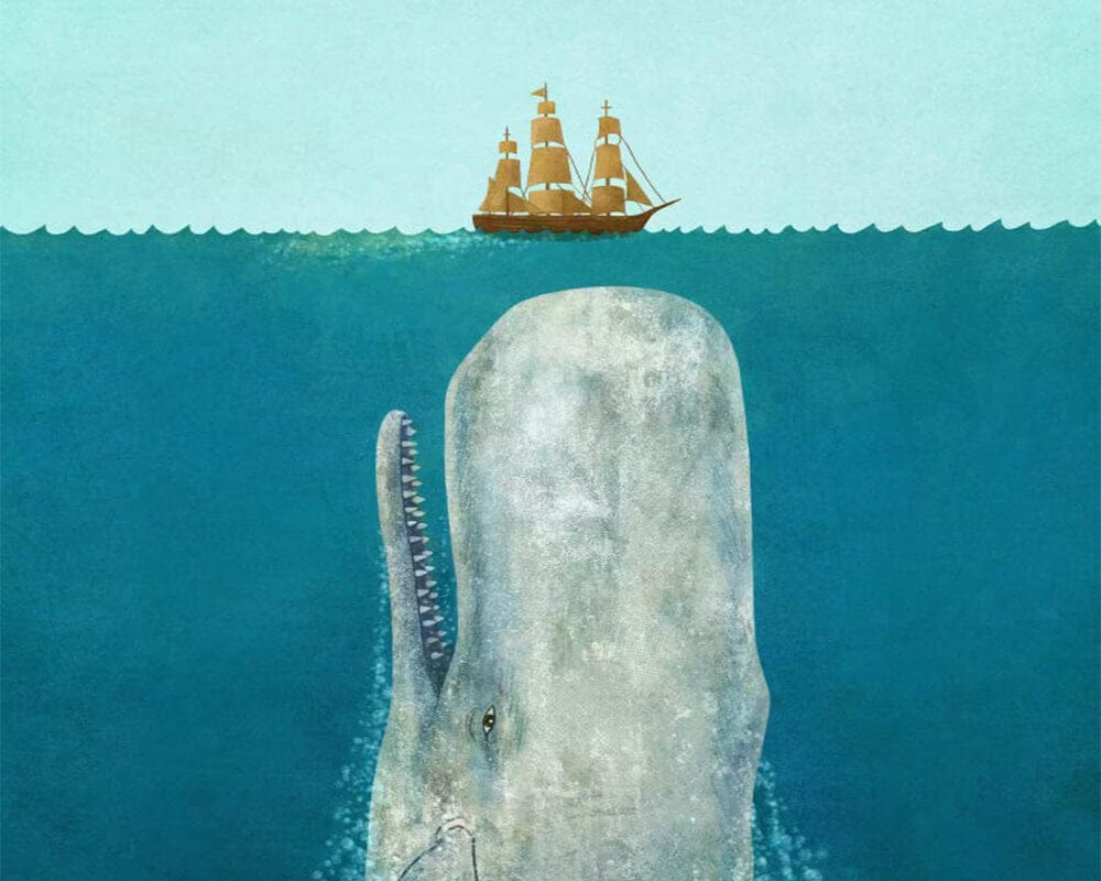 paintingnumberart 16"x20"/40x50cm / Without frame The Whale Square-Paint by Numbers Kit