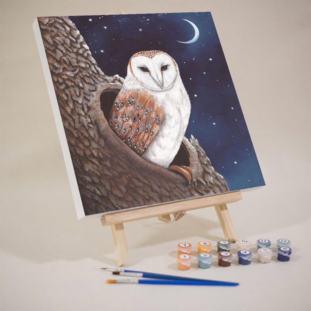 paintingnumberart 16"x20"/40x50cm / Without frame Tree Hole midnight Owl-Mini DIY Paint by Numbers Kit