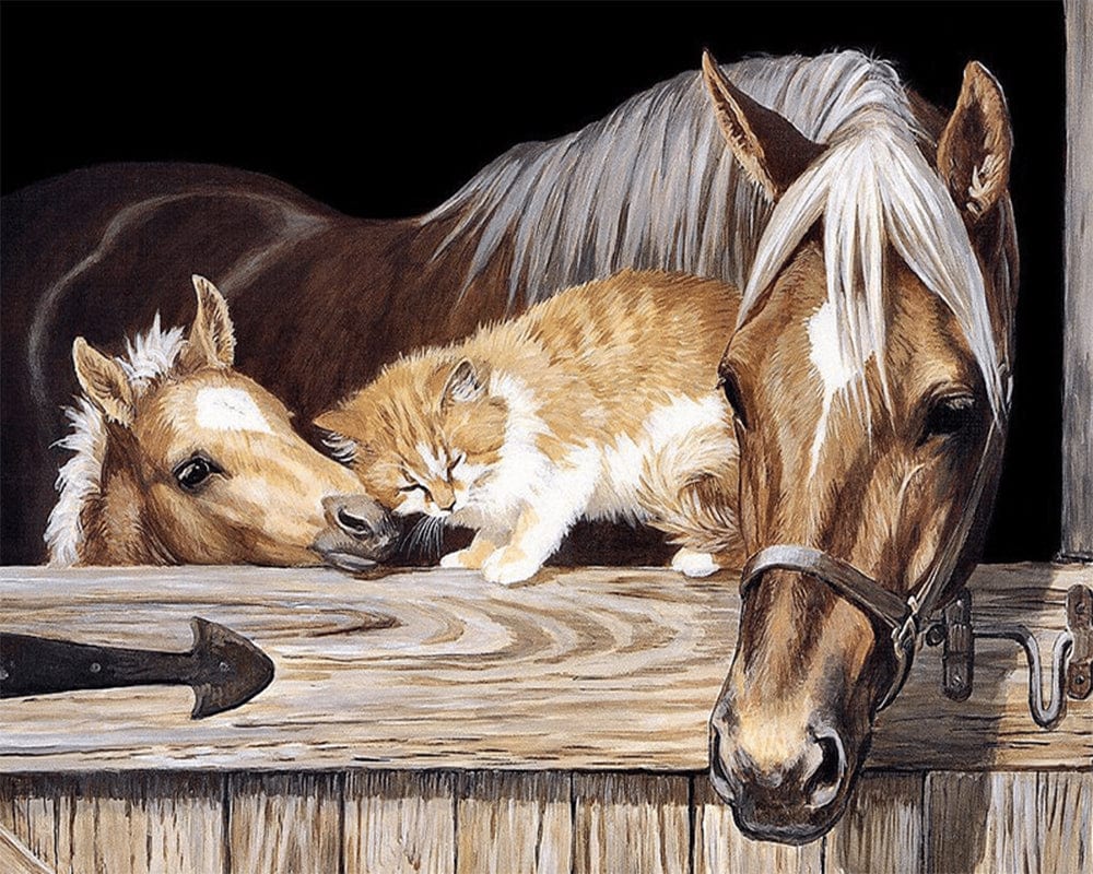 paintingnumberart Abstract Horse and Cat – Animals Paint By Number