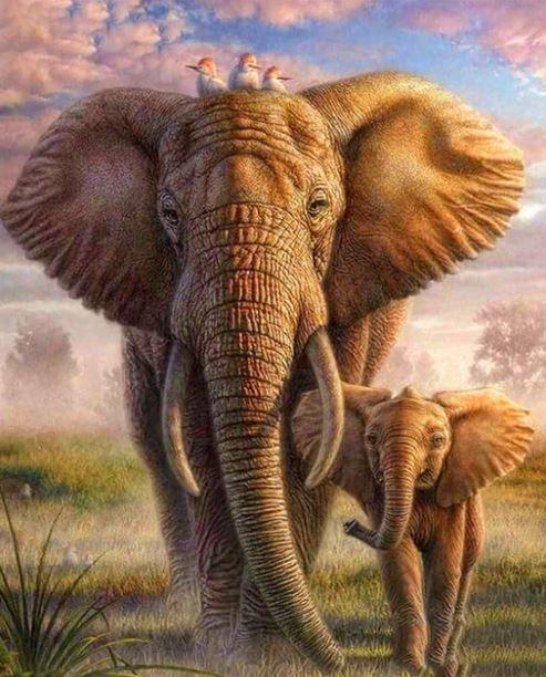 paintingnumberart African Elephant And His Cub – Animals Paint By Number