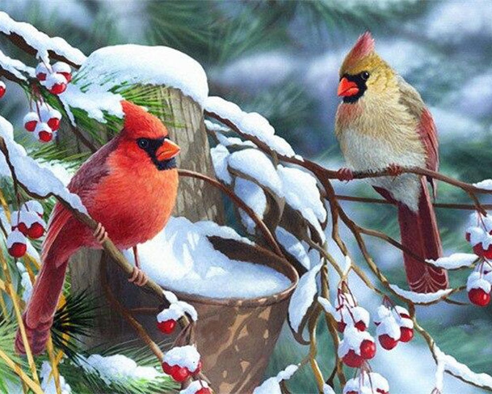 paintingnumberart Beautiful Birds in Winter – Birds Paint By Number