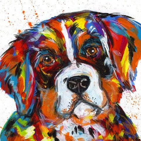 paintingnumberart Bernese Mountain Dog – Animals Paint By Numbers