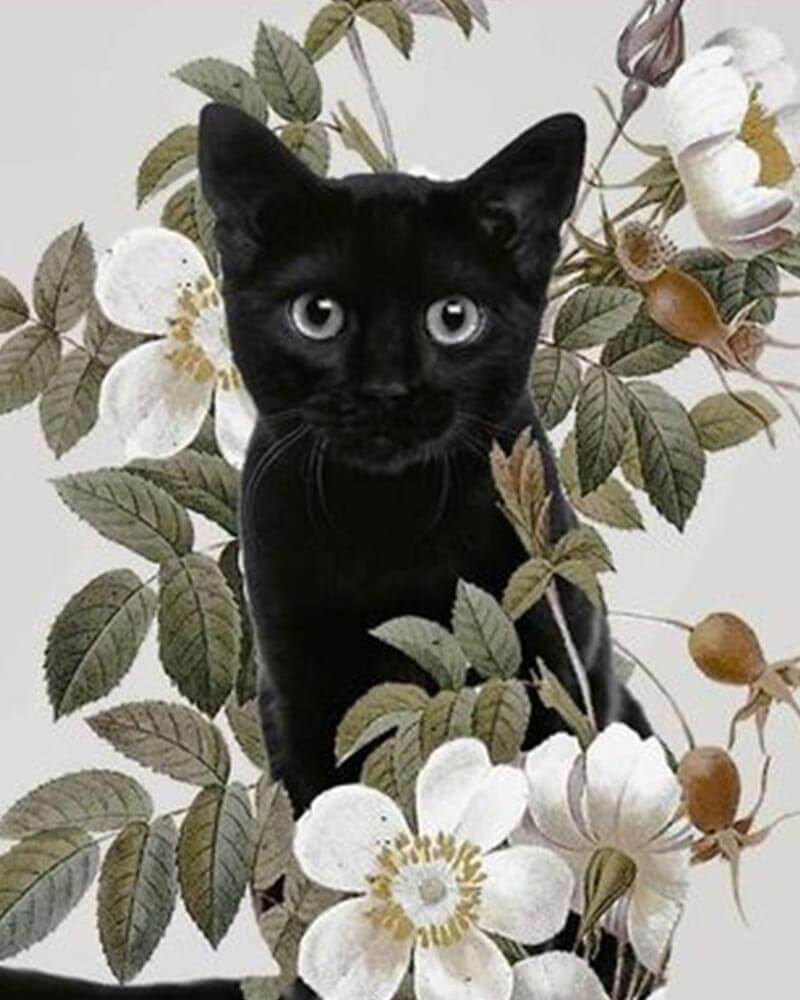 paintingnumberart Black cat in the flower-Paint by Numbers Kit