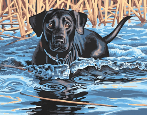 paintingnumberart Black Dog Swimming – Animals Paint By Number