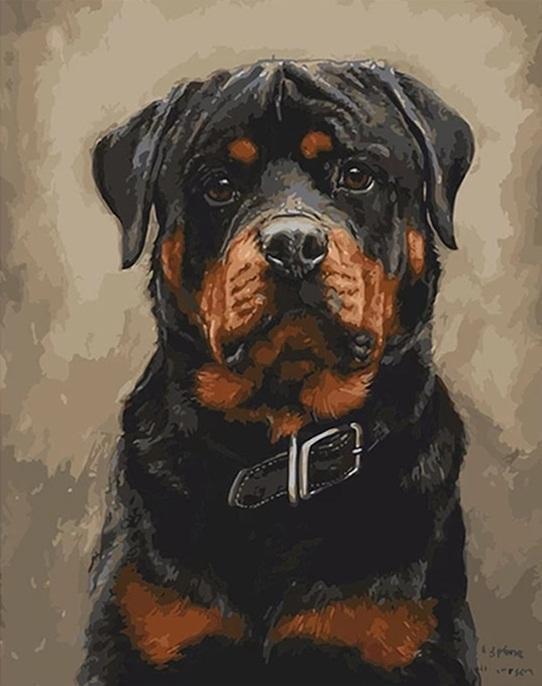 paintingnumberart Black Dogs – Animals Paint By Number