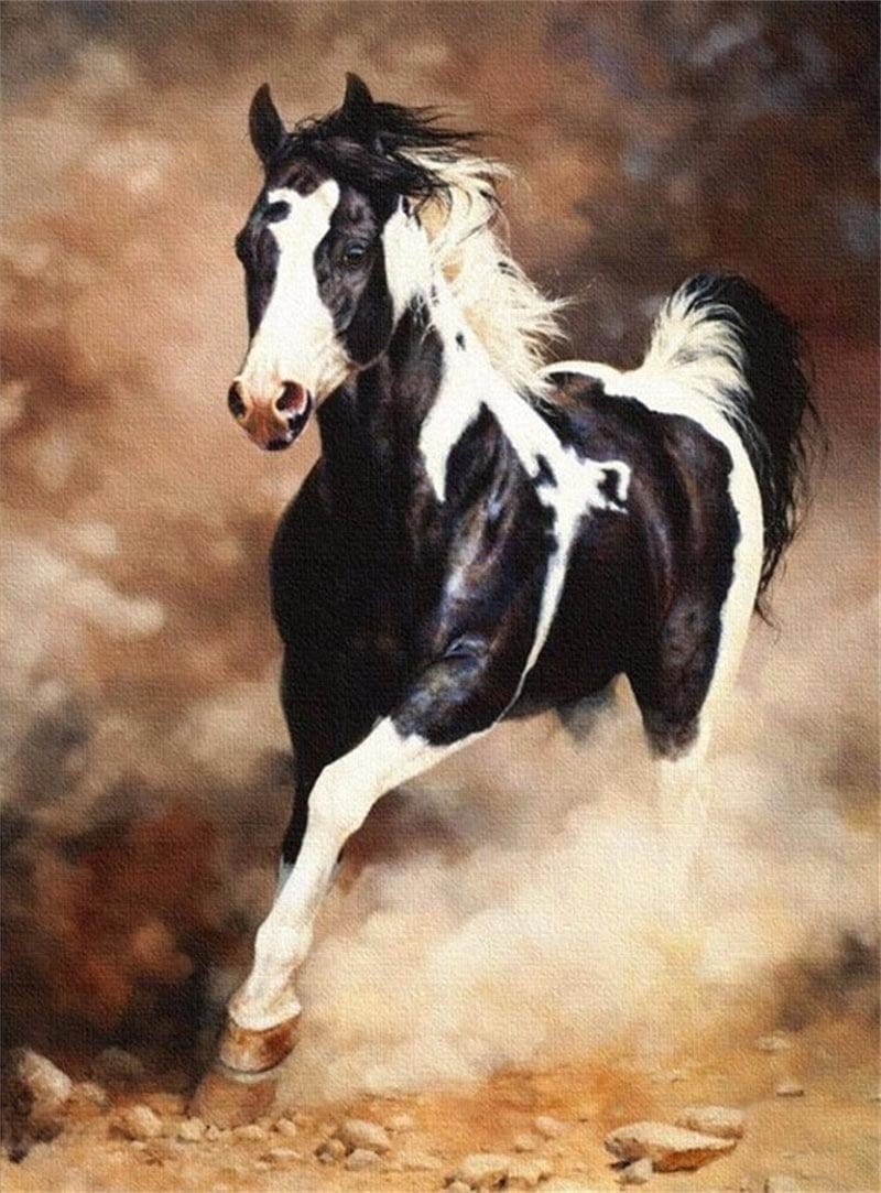 paintingnumberart Black White Horse – Animals Paint By Number