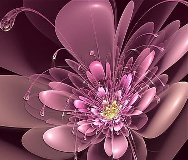 paintingnumberart Blooming flowers – Flowers Paint By Number