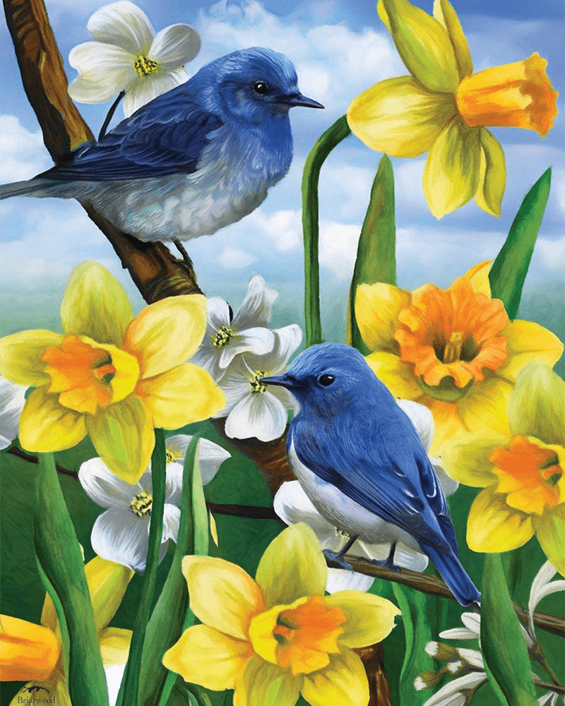 paintingnumberart Bluebirds and Daffodils-Paint by Numbers Kit