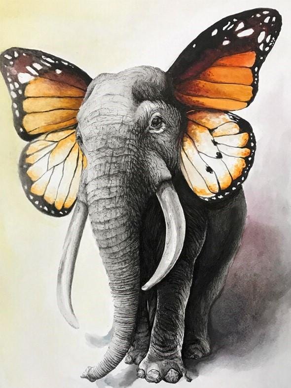 paintingnumberart Butterfly Elephant – Animals Paint By Number