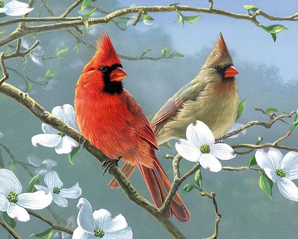 paintingnumberart Cardinals Birds and Flower-Paint by Numbers Kit